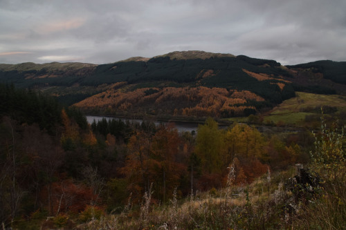 Autumnal Shades around Ben Ledi, TrossachsWe caught Autumn at its Best while going up Ben Ledi in th