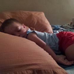 Woke him up from his nap, then climbed back onto my bed and passed out again #berlinbenjamin