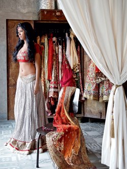 currytits:  tayyabaa:  can i have her closet like wow  thats what sexy looks like to me. desi sexy. 