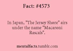 mentalfacts:  Fact#  4573:   In Japan, “The Jersey Shore” airs under the name “Macaroni Rascals”.