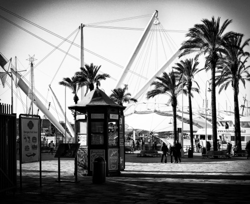 Genoa ItalyPhoto: Dieter Krehbiel