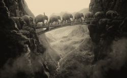 mpdrolet:  Elephants On A Bridge,  1998 Thomas