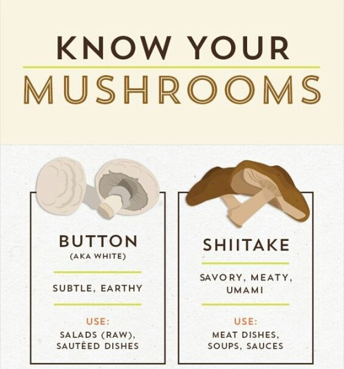 fungifanatics:We complied this image to tumblr as we’ve had a few questions about which mushro