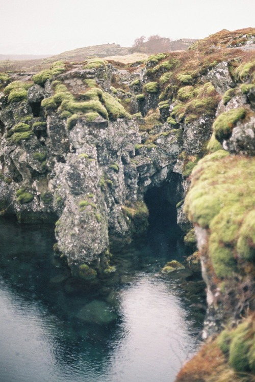 decepticun:  Untitled | by florivore