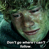 ianmckellen:  lotr meme: nine characters (5/9) → Samwise Gamgee &ldquo;You’ve