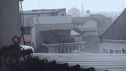 Cinemagraph of rain this afternoon. Click