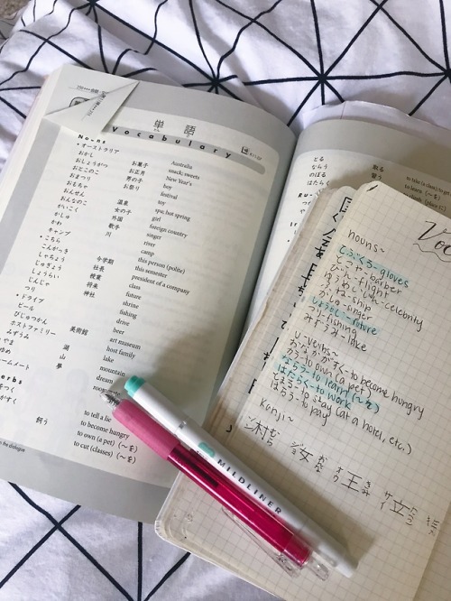 ghostlyem: finally got to self study japanese after a while :D