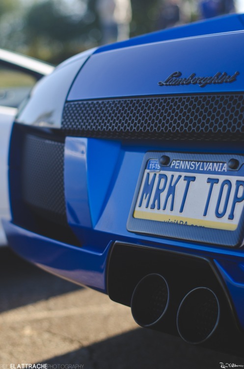 reidelattrache:  Murcielago. on Flickr. Instagram