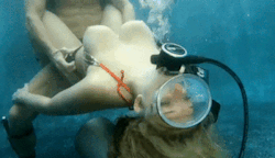 https://64.media.tumblr.com/9e43e880416d91475803d15111ab19d4/tumblr_p3hmkfTt6h1u8lr2xo1_400.gif