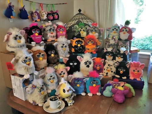 angelfurb:cutesunfish:my beautiful furby family featuring cutiefly 