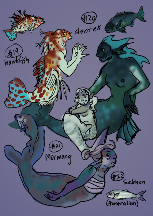 mermay 19-22