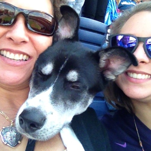 Sex #family #dog miko! =]  (at Turner Field) pictures