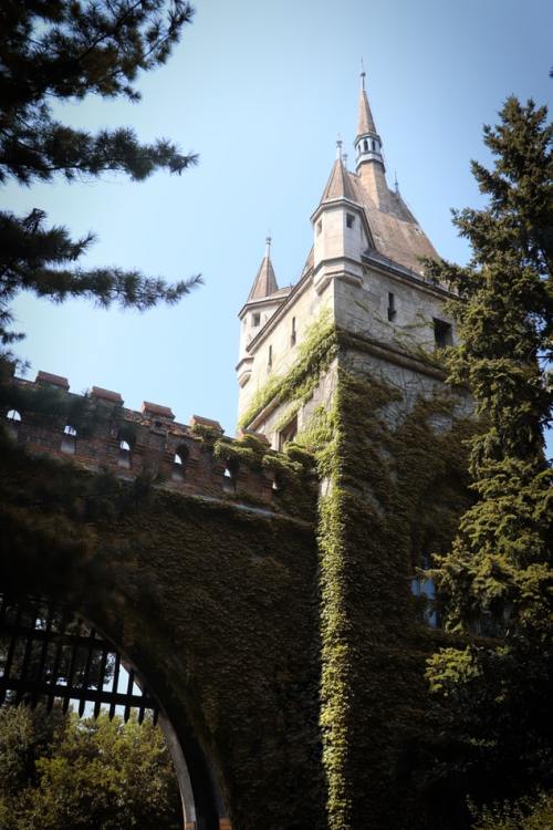 virtuallyinsane:  Vajdahunyad Castle, Budapest,