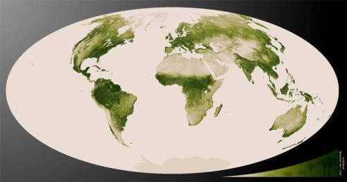 World Vegetation MapThis map was created from the Suomi NPP satellite using a year’s worth of data o