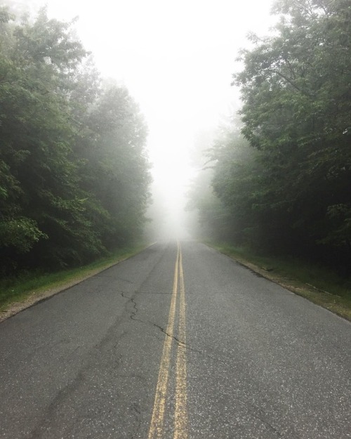 Fog-ot how awesome Vermont is [@edanhakl punny enough?]