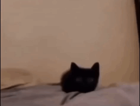 Hello!! (Comes Over To You Like This)