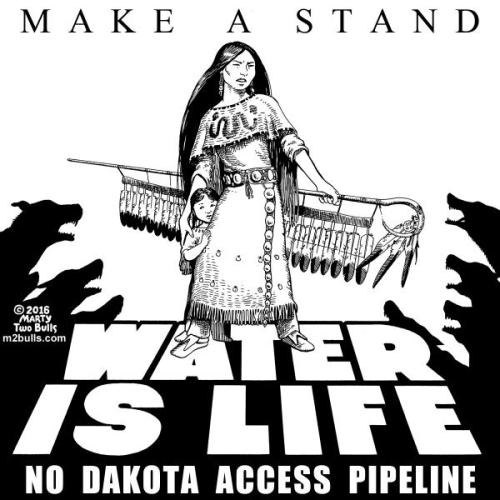 climatemovement:  Standing Rock has become the largest gathering of Native Americans in more than 100 years, with water protectors and land defenders coming from across North America to stand against the Dakota Access Pipeline. They are risking their