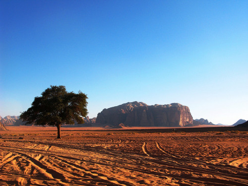 Jordan - Wadi Rum (8) on Flickr.