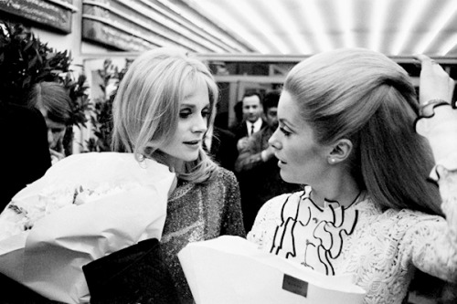 framboisedorleac: Françoise Dorléac and Catherine Deneuve at the premiere of The Young