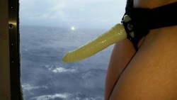 wetspot87:  Who’s ready for a good hard pegging on the high Sea…… I am!  I am!  Who’s been pegged on a Boat? I have! I have!
