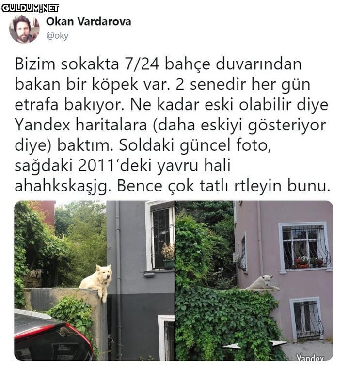 Okan Vardarova @oky Bizim...