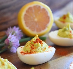 greatfoodlifestyle:Avocado Deviled Eggs are a healthy, delicious snack, appetizer, or lunch!  They’re super easy to make, too!  Recipe Here. 