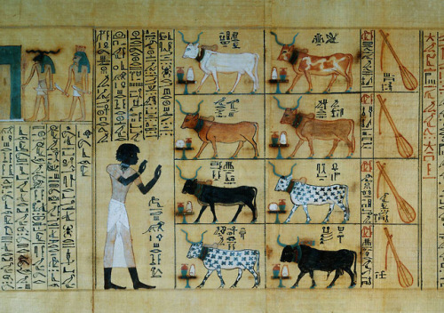 Book of the Dead of MaiherpriA vignette from Book of the Dead of Maiherpri (papyrus), found in his t