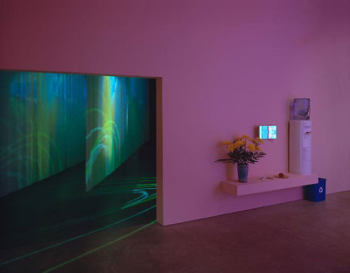 repulsed: Pipilotti Rist, Heroes of Birth. Installation view, Luhring Augustine, 2010