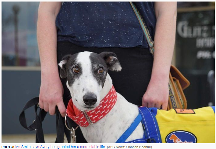 Racing dog finds new life treating mental illness