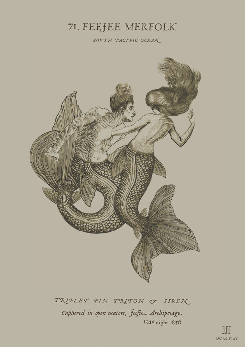 themarinevampireshop:“Feejee Merfolk: Triplet Fin Triton & Siren" - Captured in open waters