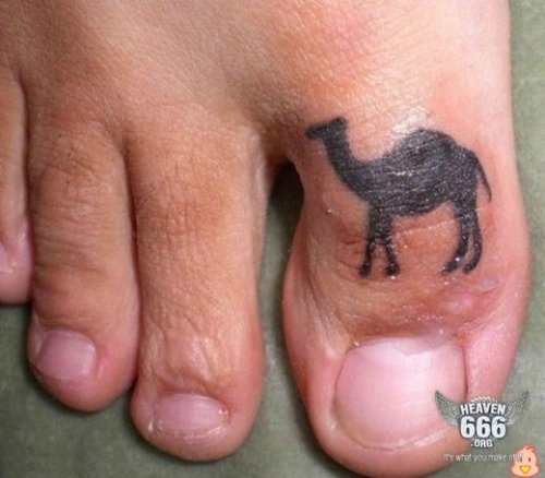 camel toe, graphic description