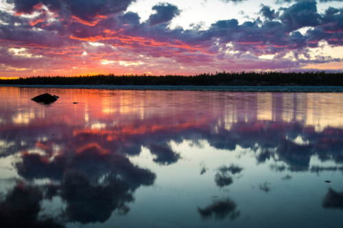 Sex expressions-of-nature:  by Dave Brosha Yellowknife, pictures