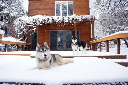 Another glorious snow day