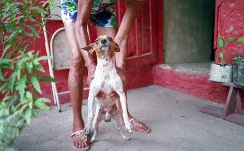 - Yo take a photo of my dog, I’ll hold him.  ©lucasmiranda