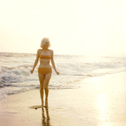 suqarkane-deactivated20151012:  Marilyn Monroe photographed by George Barris, 1962. 