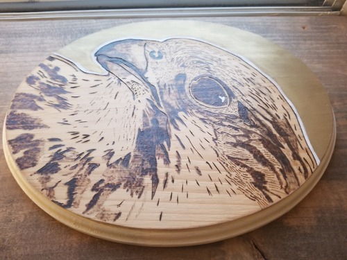 -Woodburning Falcon-To you, oh mighty Falcon, I offer my praise.I call to you for favor, I call on y