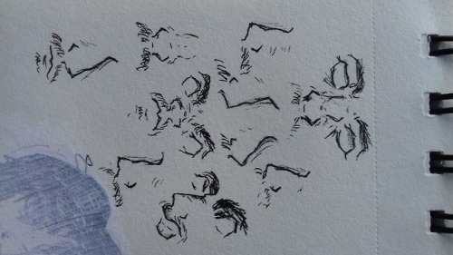 Who Noses