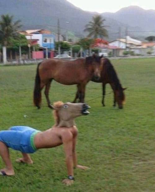 randomitemdrop:randomencounters:hmmm-official:hmmmEncounter: just a regular horse. Roll for Percepti