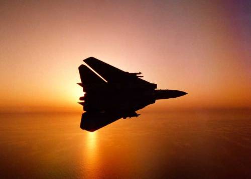 retrowar:F-14 Tomcat’s at sunset