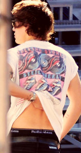  Harry Styles Back 