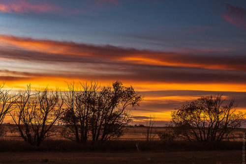 thisherelight:first really great October sunset since I got back. almost makes the nights of sitting praying the sun will pop out under the bottom of the clouds for almost a week–it didn’t–worth it. almost. 