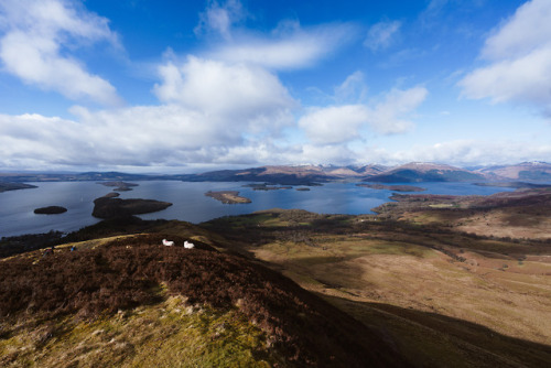 kingsoftomorrow:The West Highland Way: Day 2. Drymen to Rowardennan. March 2018.