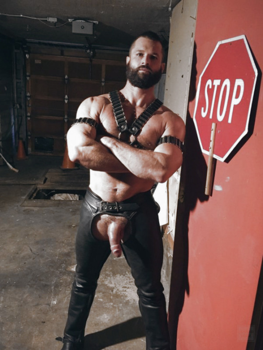 den260371:  Hot BULL 🔥🐂🔥