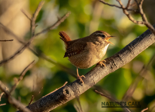 Today marks the Vernal Equinox or first day of Spring. It also marks the first day of a new series f