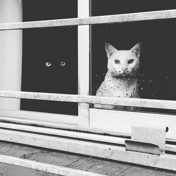Different world.