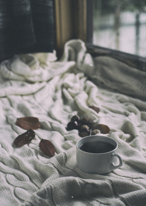 cozy autumn morning