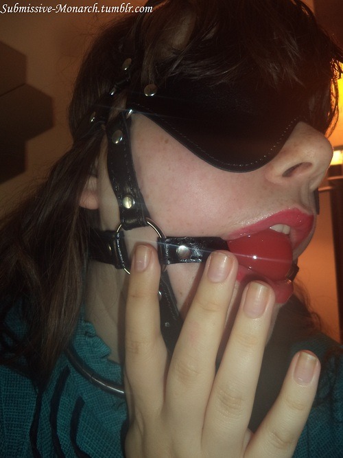 kitten-doll:  submissive-monarch:  casually-collared:  submissive-monarch:  amateurgags:
