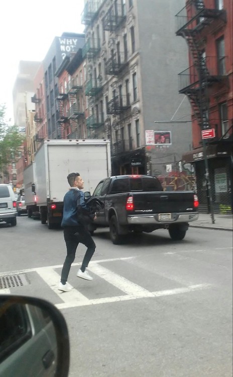 note-a-bear: renxiaoyao:  boiburokka: rami just ran by in front of my car lmfao this cryptid    This is the lucky Rami, reblog in 30 seconds for a year of safe driving 