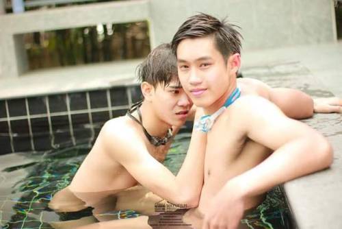 grumpythegaycat: Diamond and friends swimming pool photo collection 2 If you want to see more fapili