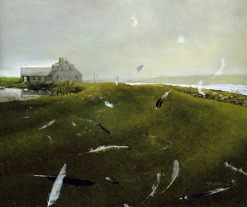 likeafieldmouse:  Andrew Wyeth - Airborne (1996) 